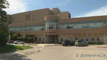 Wildlife rehab centre warns of impact as University of Saskatchewan suspends services
