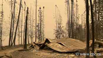 Burge Lake cottage owner, Lynne Lake residents sue Alamos Gold over Manitoba fire