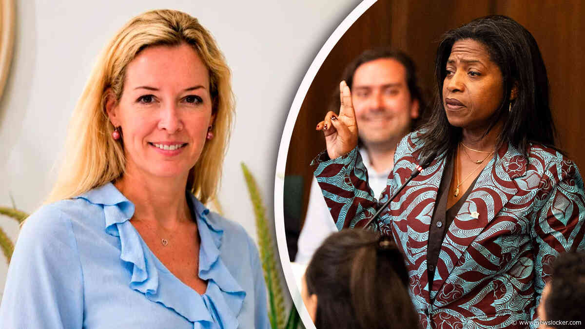 Ophef, chaos en achterdocht: ’coup’ en rel om ’te witte’ D66-wethouder in Rotterdam lijkt nog maar begin van ellende