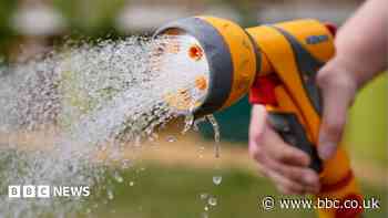 Hosepipe ban set up after heatwave pressure