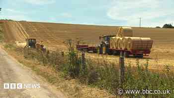 Farmers sceptical over government farming plan