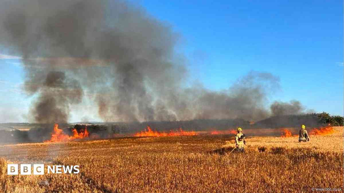 Farmers urged to make checks after field fires
