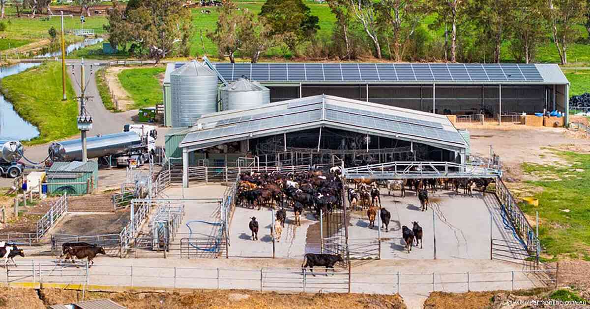Water-rich Gippsland dairy powerhouse near Maffra sells for $8.6m