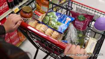 About 50% of Florida families struggle to pay for basic necessities