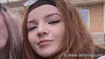 Inside the legal storm over Melbourne teenager Isla Bell's grisly death after court drops murder charge and her family beg for justice