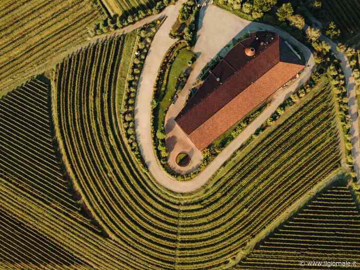Zorzettig, elogio dell’imperfezione