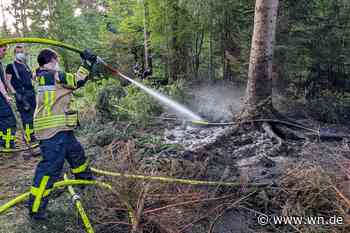 Waldbrand im Wolbecker Tiergarten