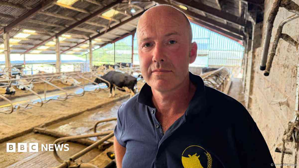 Heatwave reducing milk production, says farmer