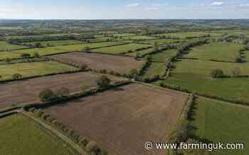 SFI26 Window 1 funding hits 75% as farmers urged to act