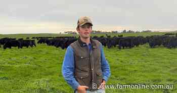 Ben Duddy can process 200 head of cattle an hour in new King Island yards
