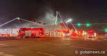 1 person dead after northeast Edmonton apartment building fire