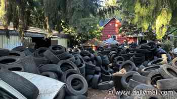 Oregon man's 'dream property' quickly turns into a nightmare...after builders arrived to find over 50,000 TIRES dumped on the land