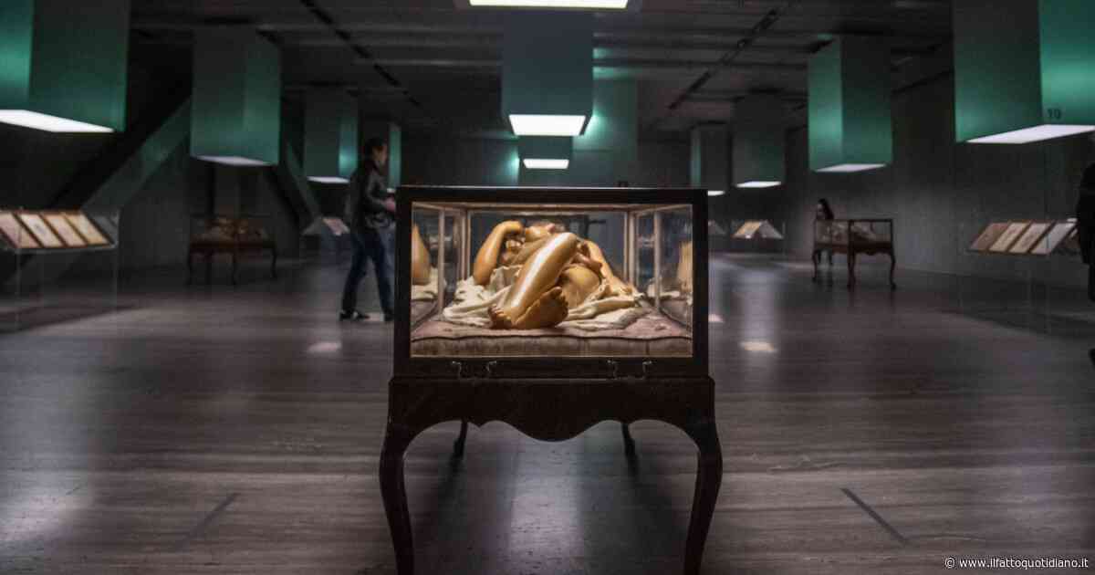 Firenze, nel museo si rompe l’impianto d’aria condizionata e le cere anatomiche rischiano di sciogliersi: opere spostate e visite sospese