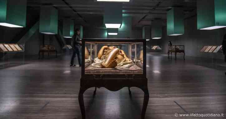 Firenze, nel museo si rompe l’impianto d’aria condizionata e le cere anatomiche rischiano di sciogliersi: opere spostate e visite sospese