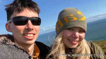 Couple give up city life to live on a Welsh island with two neighbours