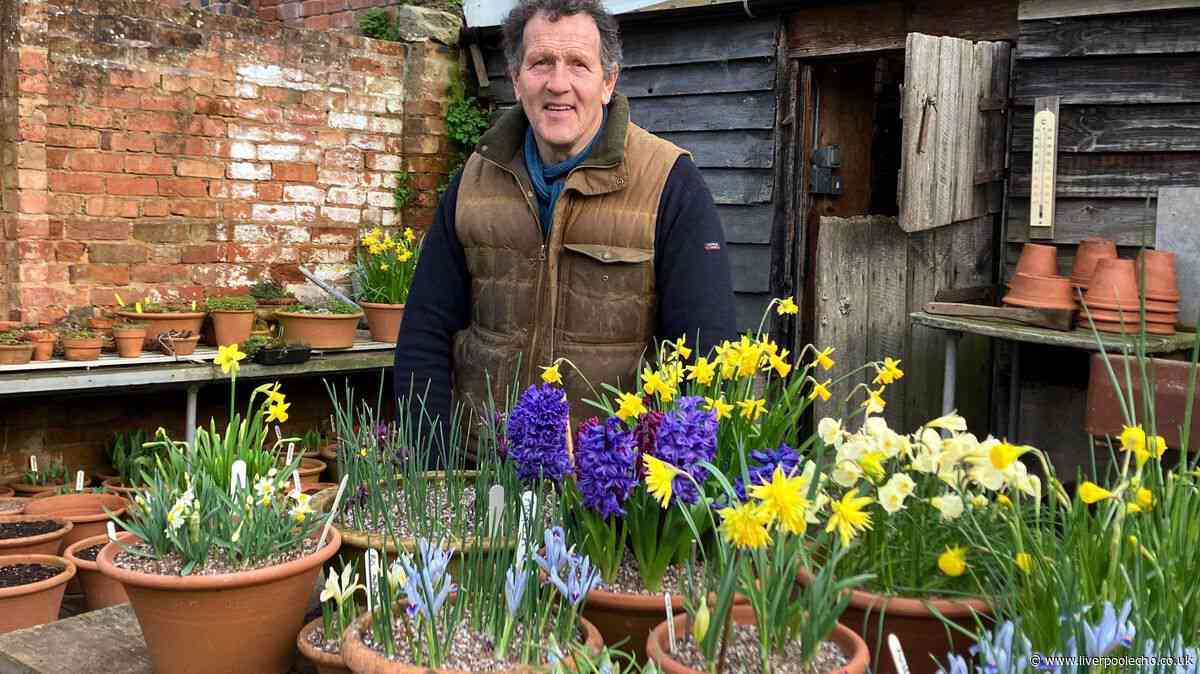 Your garden will be a riot of colour in autumn if you follow Monty Don's instructions now