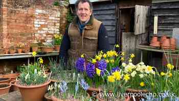 Your garden will be a riot of colour in autumn if you follow Monty Don's instructions now