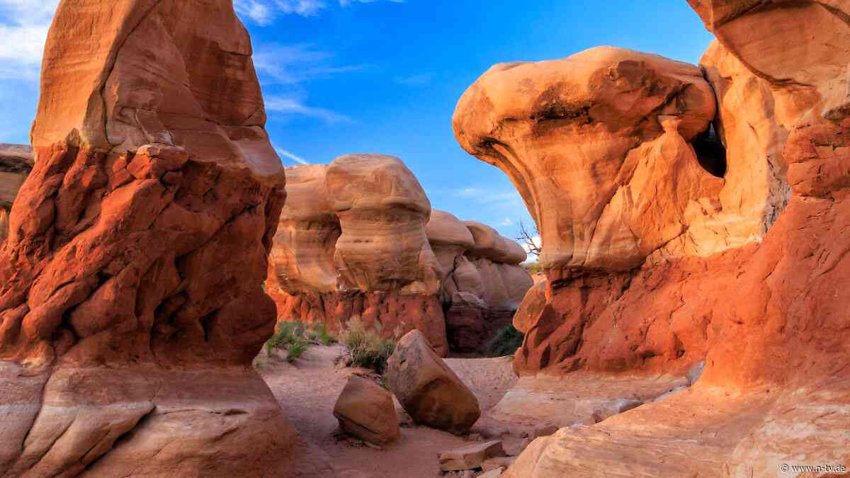 90 Prozent weniger Fläche: Trump stutzt bekannte US-Naturschutzgebiete drastisch zusammen