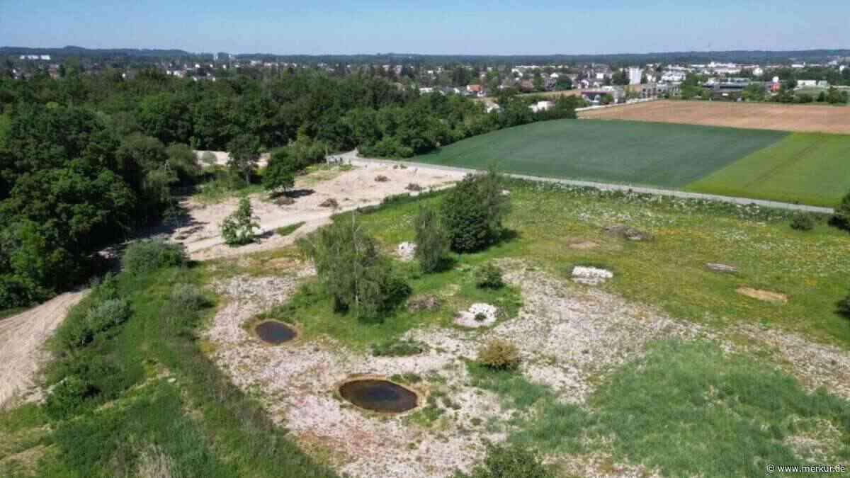 Aus Hausmülldeponie wird Naturparadies: Ausgleichsfläche begeistert