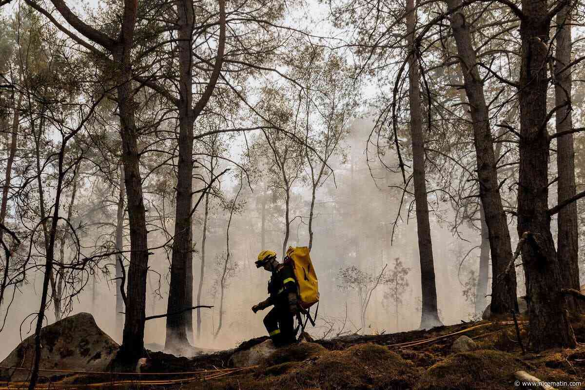Les incendies qui font rage dans la forêt de Fontainebleau ont parcouru plus de 1.900 hectares