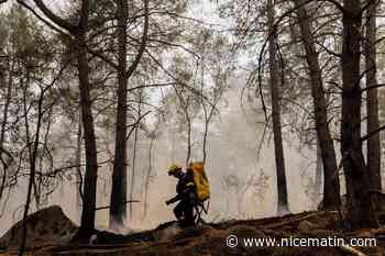 Les incendies qui font rage dans la forêt de Fontainebleau ont parcouru plus de 1.900 hectares