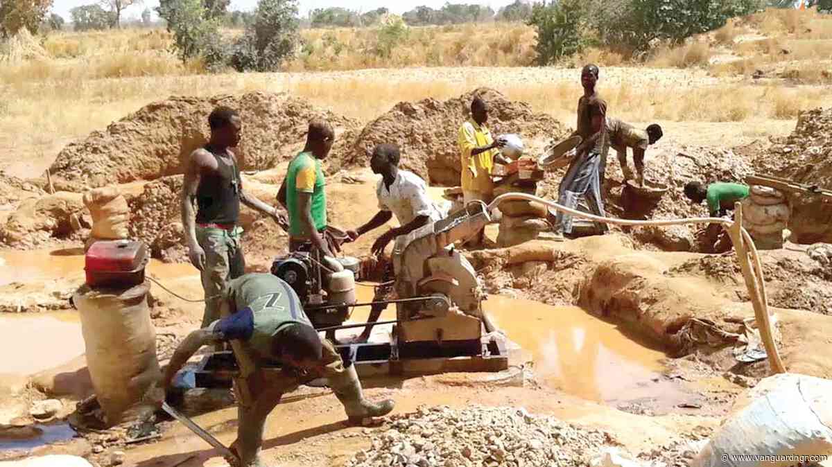 Taskforce raids illegal mining site, arrests two in Taraba
