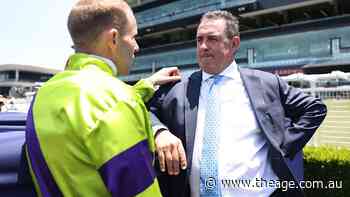 Freedman’s well-bred colt primed for long-awaited debut