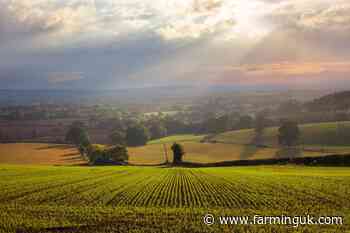 Labour told to put farming at heart of economic reset