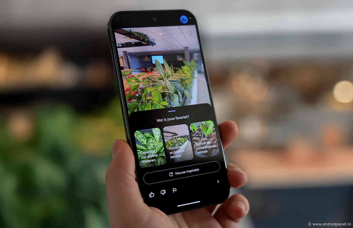 Gerucht: Google Pixel 11 is verkrijgbaar in deze kleuren