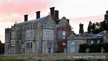 Elderly man trampled to death by cattle at National Trust site