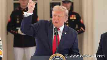 Trump's relentless series of attacks on Iran compared to Civil War-era military strategy: 'We're going to grind them down'