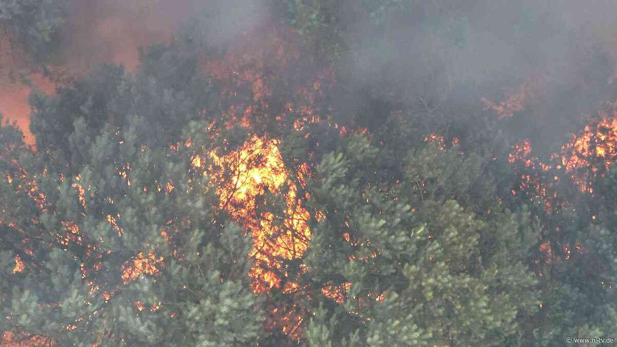 Sorge wegen Munition im Boden: Brand lodert im Müritz-Nationalpark