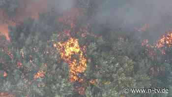 Sorge wegen Munition im Boden: Brand lodert im Müritz-Nationalpark