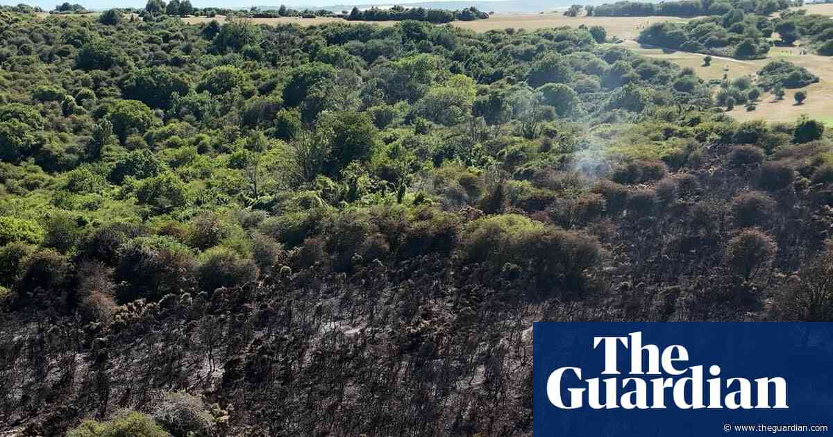 Most UK media reports on June heatwave failed to mention climate crisis