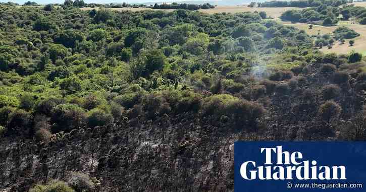 Most UK media reports on June heatwave failed to mention climate crisis