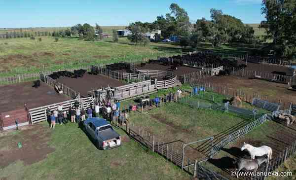 Agronomía de la UNS: un futuro entre reformas académicas y salto tecnológico