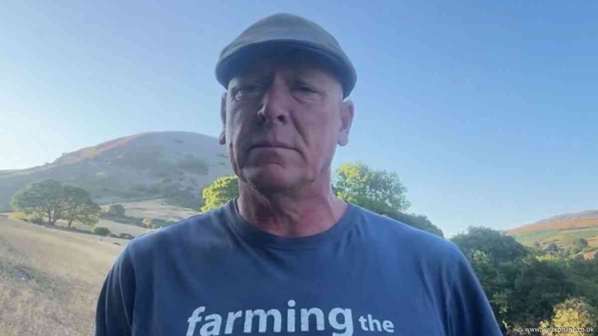 Welsh BBC star makes desperate plea after ‘devastating’ losses on farm