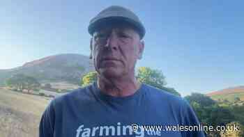 Welsh BBC star makes desperate plea after ‘devastating’ losses on farm