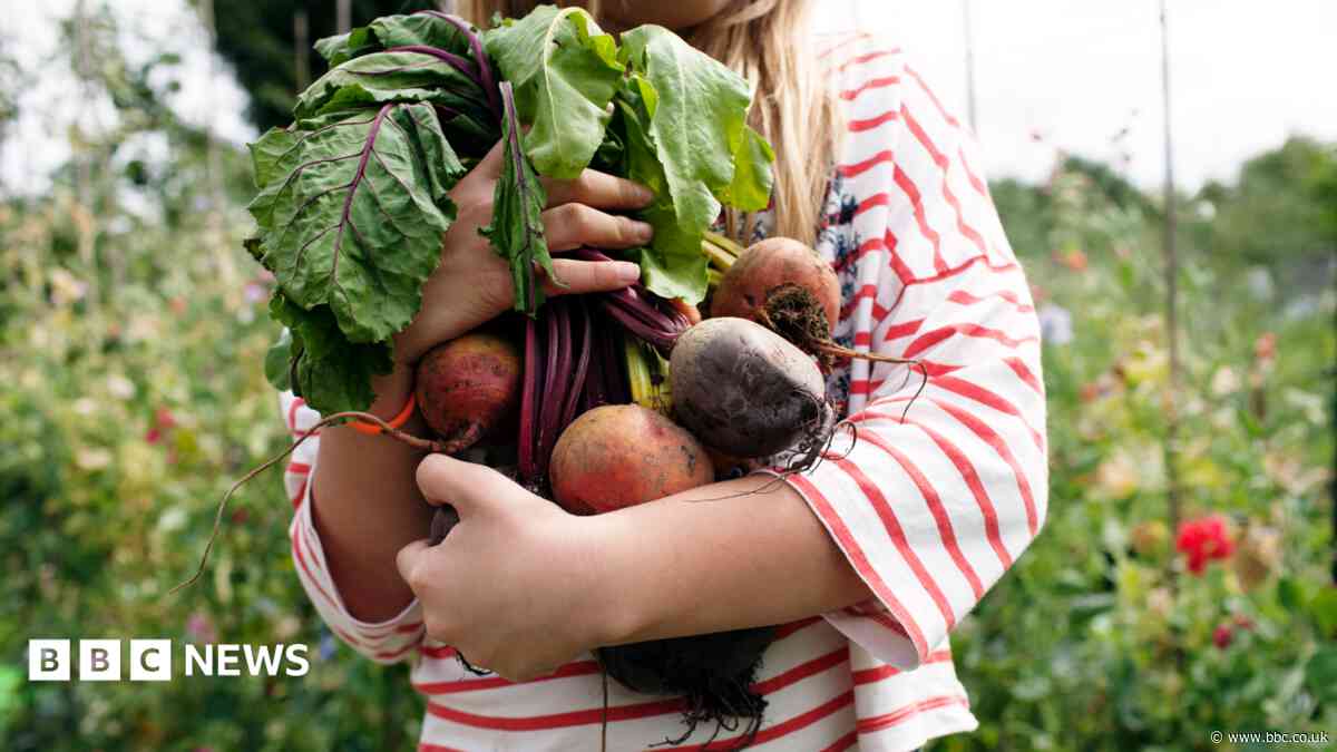 Call for right to grow food on unused public land