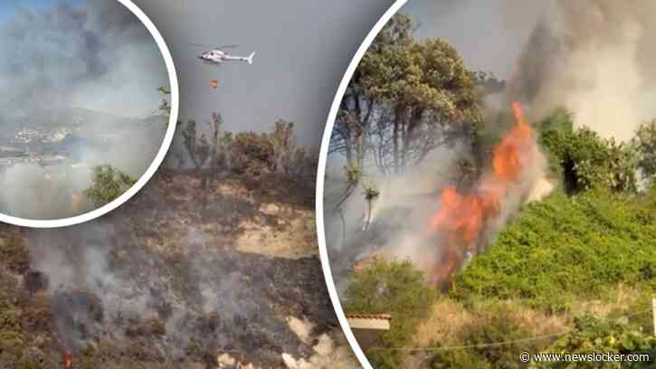 Beelden: enorme bosbrand breekt uit nabij vulkanisch gebied in Zuid-Italië