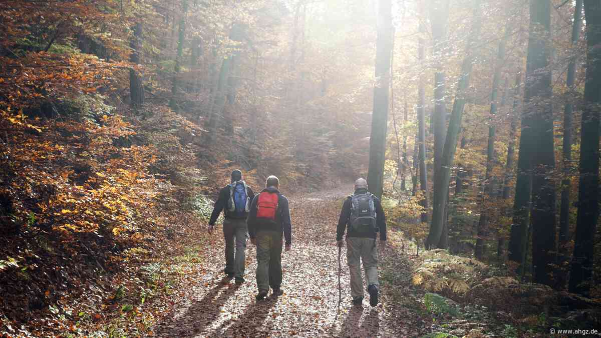 NRW-Regionen: Noch viele freie Betten in der Saison