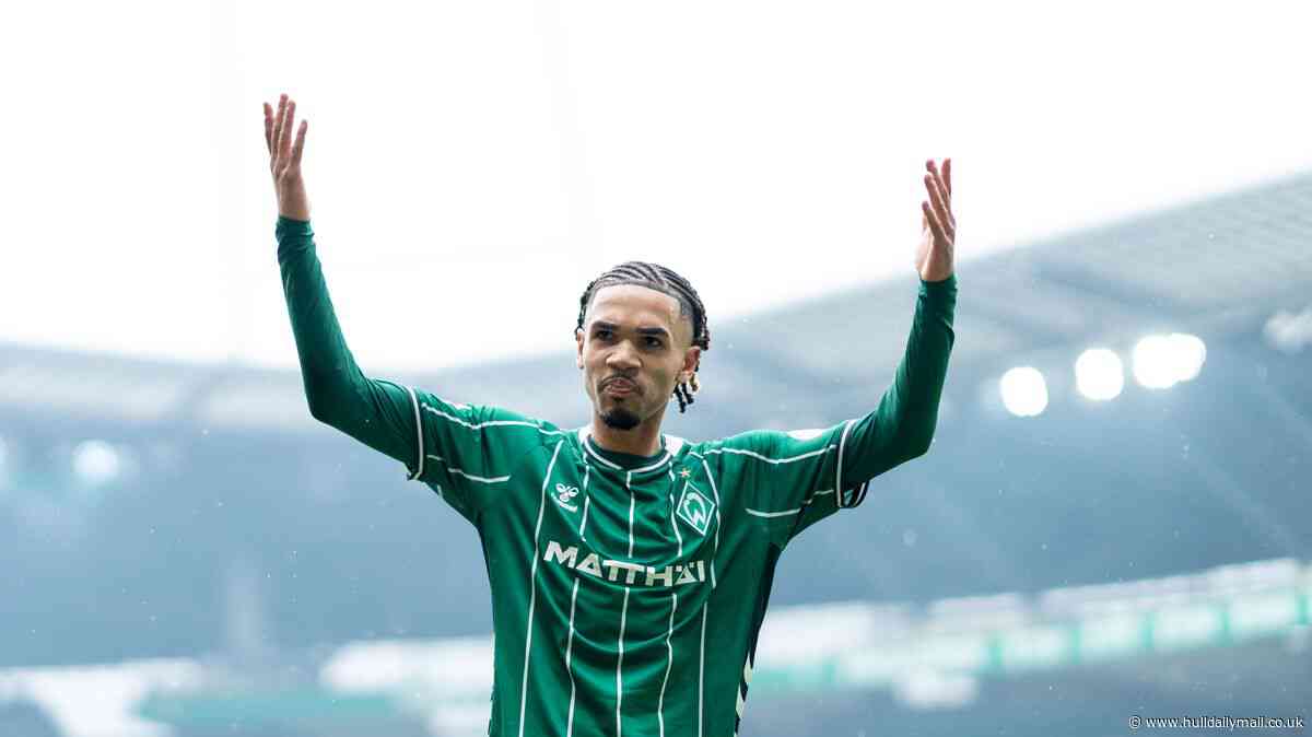 Hull City join race to sign striker as Tigers aim to bolster forward ranks