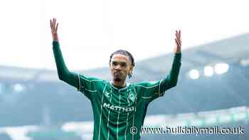 Hull City join race to sign striker as Tigers aim to bolster forward ranks