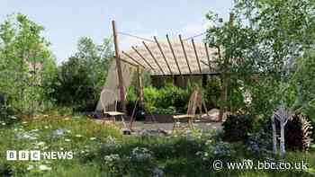 How can we help our gardens survive the heat?