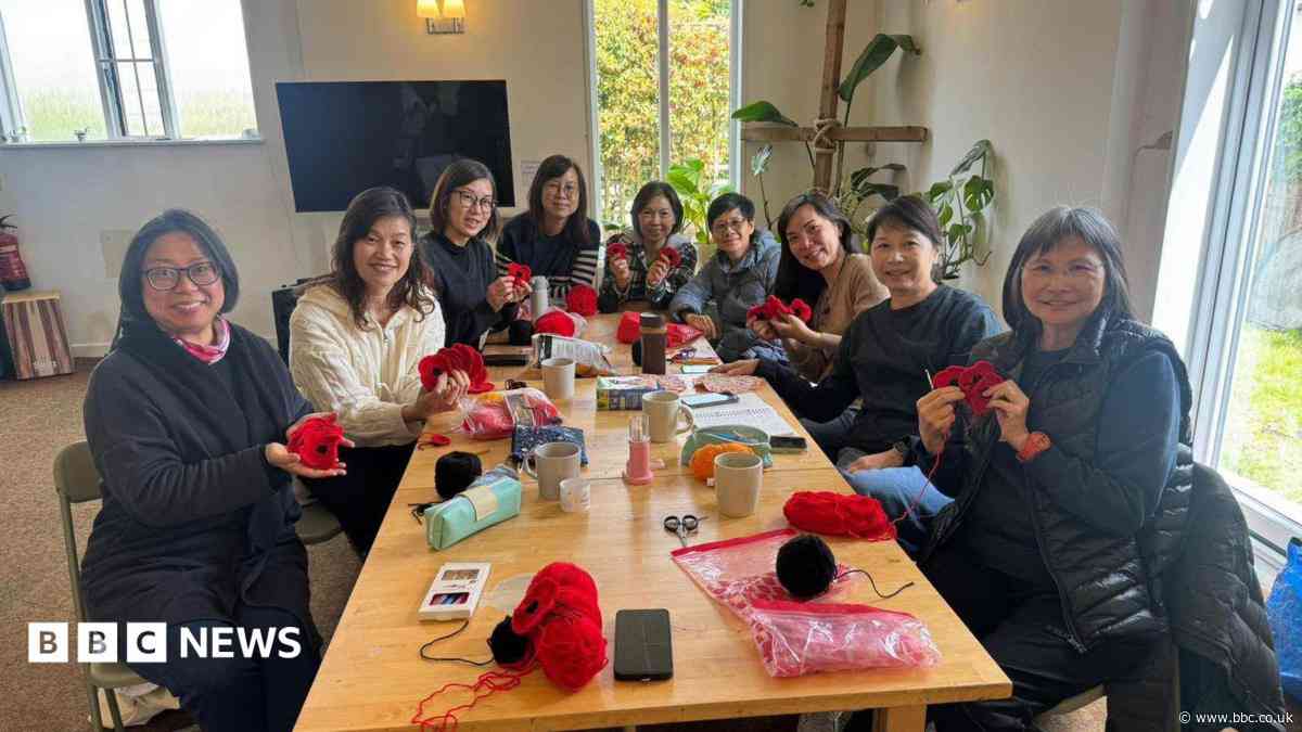 Appeal for yarn bombers for Remembrance project
