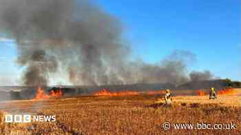 Farmers urged to make checks after field fires