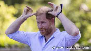 Prins Harry vindt zichzelf geen ’ginger’: ’Het is meer een soort kastanjebruin’
