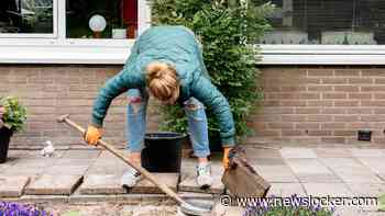 Tegelwippen en zonnebrandpalen: dit doen gemeenten tegen toenemende hitte