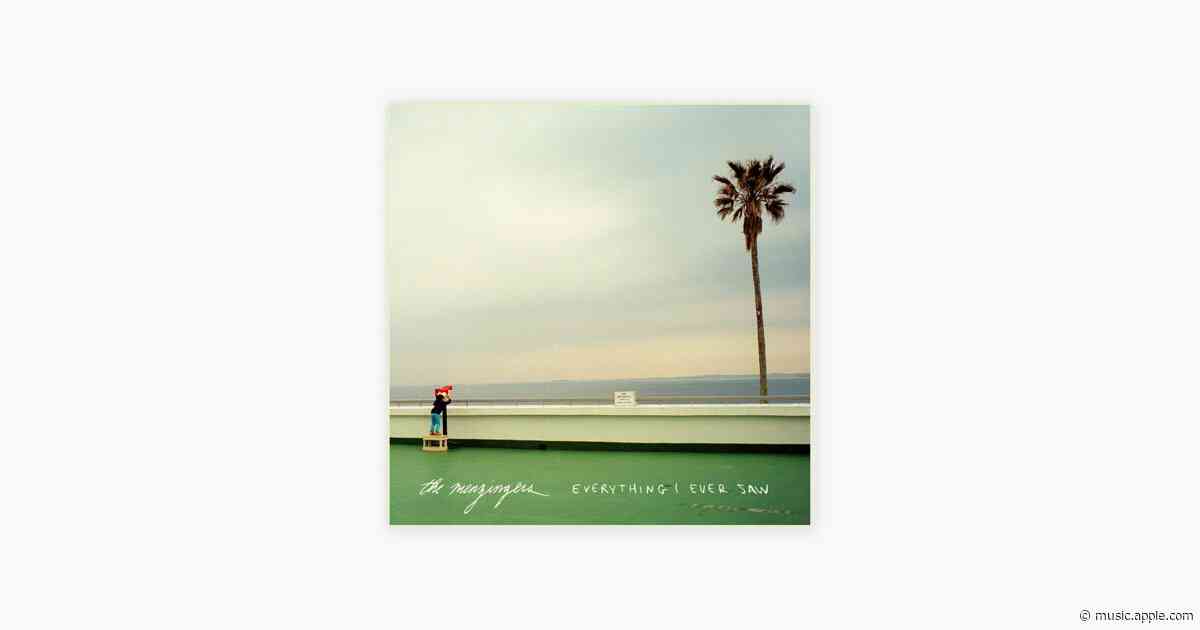 Everything I Ever Saw - The Menzingers