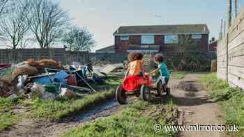 Your legal rights in UK if your neighbour's garden is messy